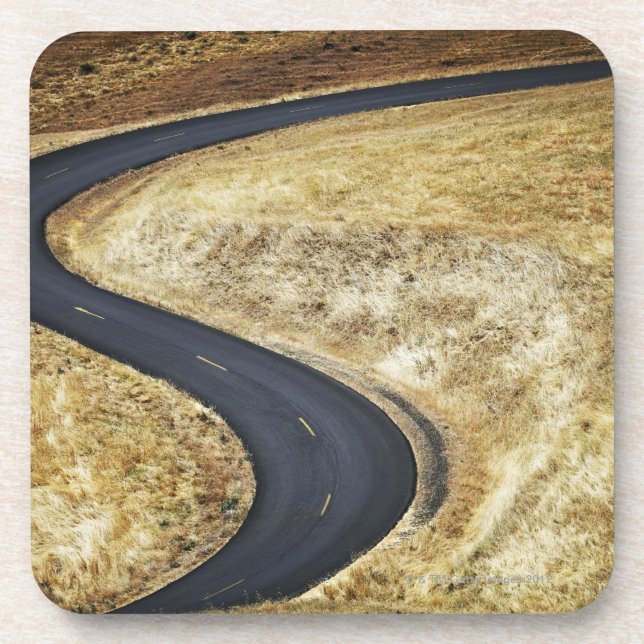 Empty winding paved road coaster (Front)