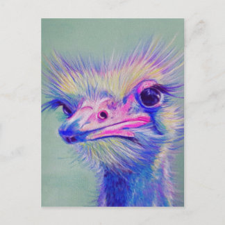 Emu bird postcard