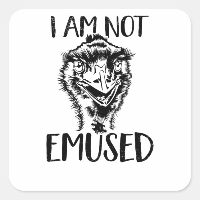 Emu Bird Tread Bird Australia Love Emu Square Sticker (Front)