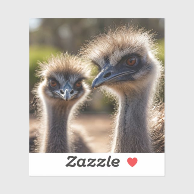 Emu Birds Sticker (Sheet)