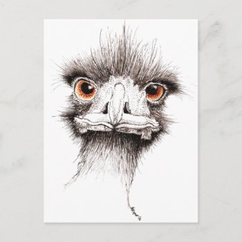 Emu By Inkspot Postcard by lostlit at Zazzle
