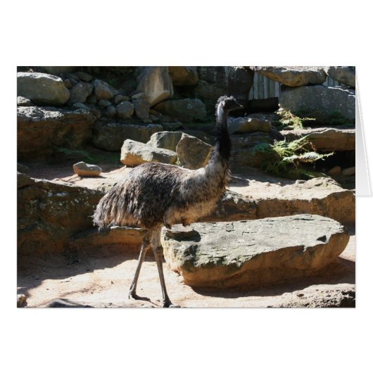 emu cards (Front Horizontal)
