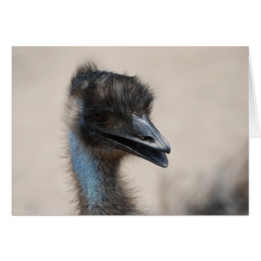 Emu Cards (Front Horizontal)