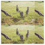 Emu Chicks With Emu Big Foot, Fabric