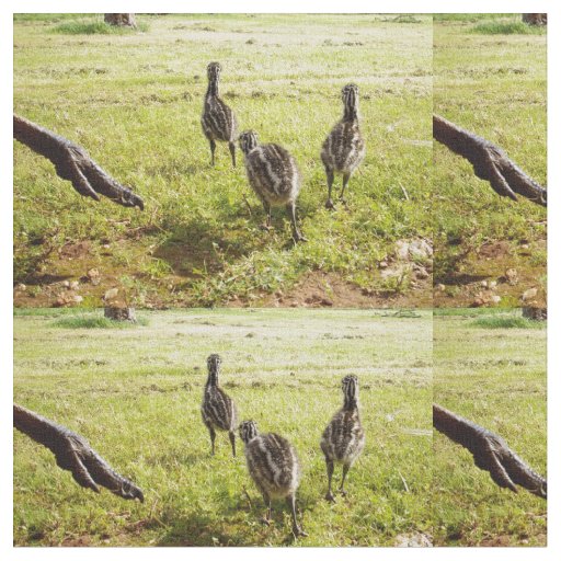 Emu Chicks With Emu Big Foot, Fabric