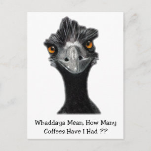 Emu: Funny, Humor: Too Many Coffees: Art Postcard