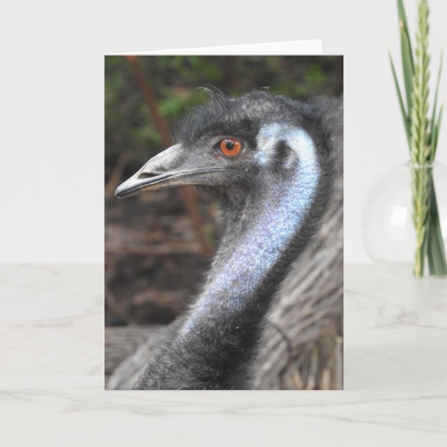 Emu Greeting Card (Front)