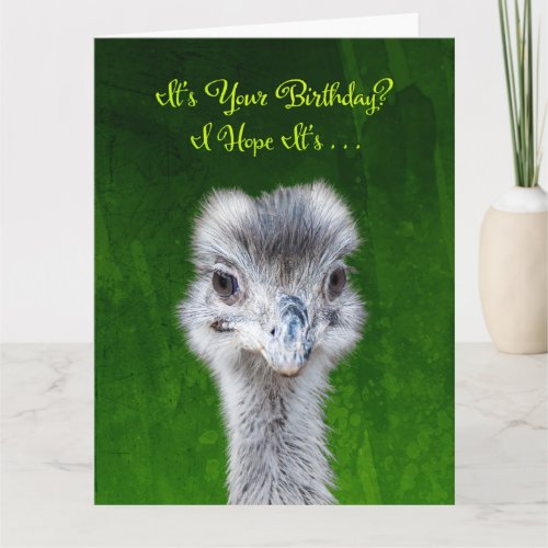 Emu _ Have an Emusing Birthday Card