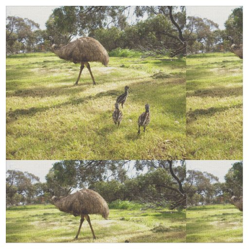 Emu Neighborhood Watch, Fabric