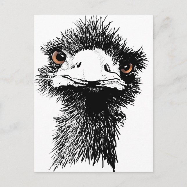 Emu Postcard (Front)