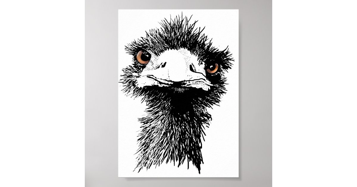 Emu Poster | Zazzle