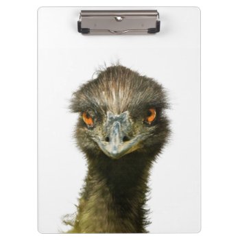 Emu Stare Clipboard by PattiJAdkins at Zazzle