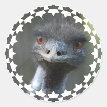 Emu Sticker by WildlifeAnimals at Zazzle