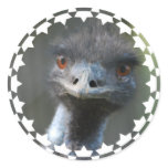 Emu Sticker