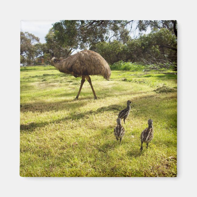Emu With Chicks Neighbour Watch, Fridge Magnet (Front)