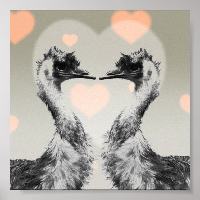 Emus in love poster (Front)