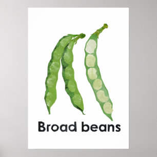 En - Broad beans Poster