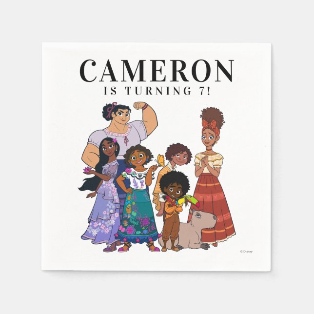 Encanto Birthday Napkins (Front)