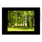 Enchanted (Front Horizontal)