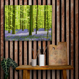 Enchanted Bluebell Woodland Canvas Print