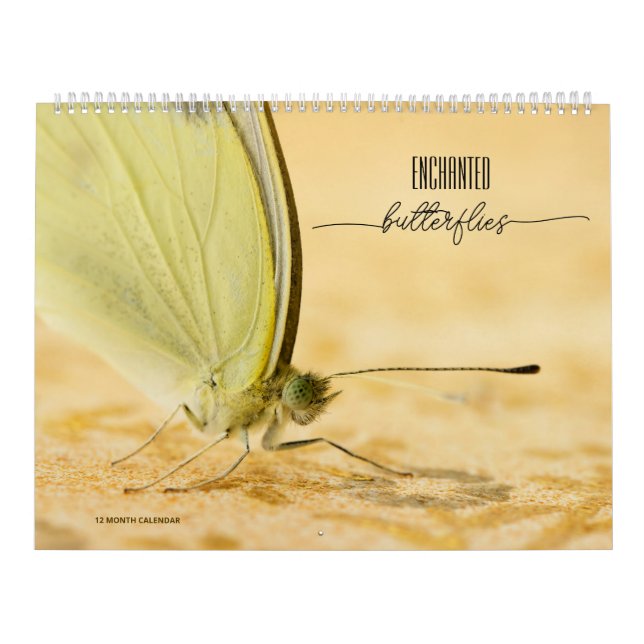 Enchanted Butterflies Calendar (Cover)