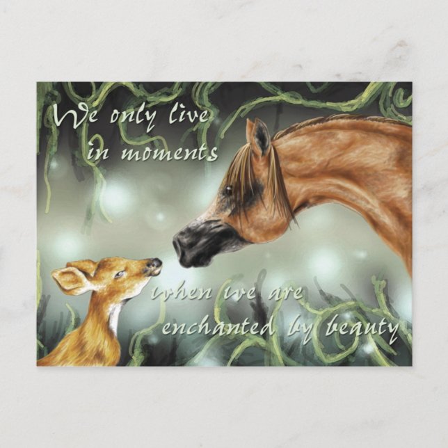 Enchanted by beauty postcard (Front)