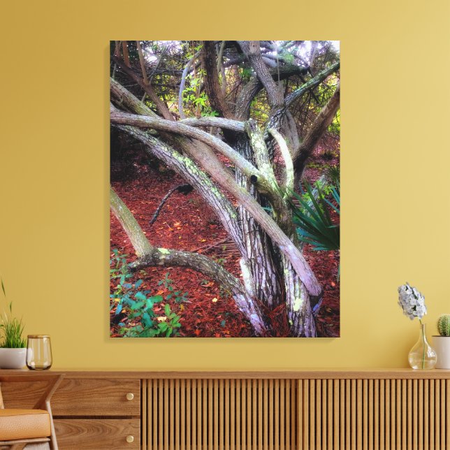 Enchanted Clearing Canvas Print (Insitu(LivingRoom))