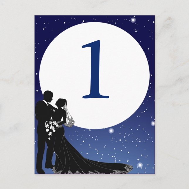 Enchanted Evening Nighttime Wedding Table Card (Front)