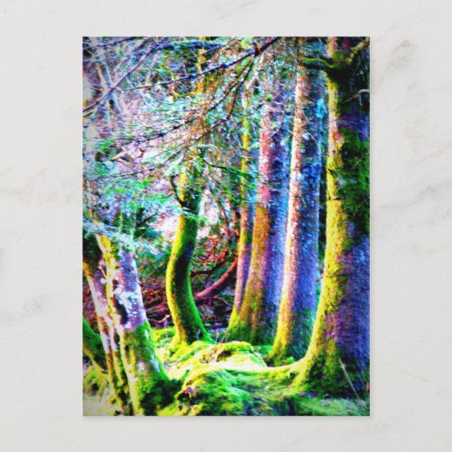 Enchanted Forest Abstract Art Postcard (Front)