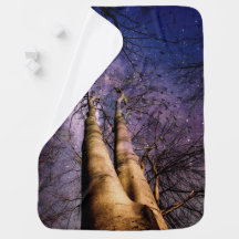Enchanted Forest