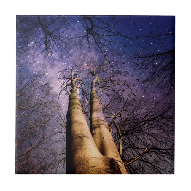 Enchanted Forest Ceramic Tile (Front)