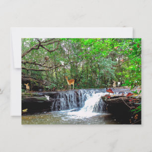 Enchanted Forest Deer Frog Owl Fairies Invitatio Invitation