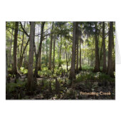 Enchanted Forest, Fisheating Creek (Front Horizontal)