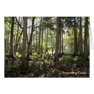 Enchanted Forest, Fisheating Creek Cards
