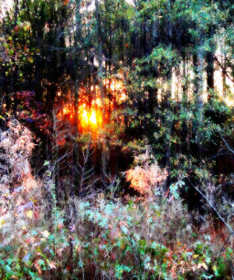 make your own enchanted