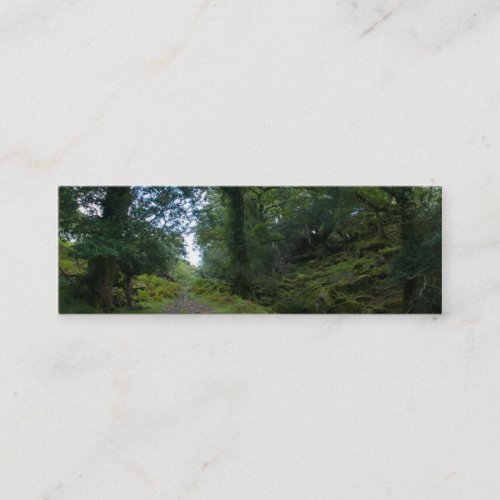 Enchanted Forest Mini Business Card