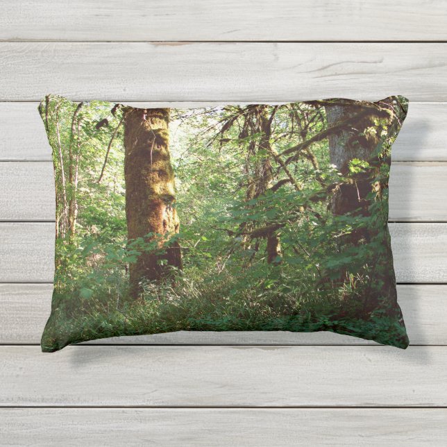 Enchanted Forest Outdoor Throw Pillow (Front)