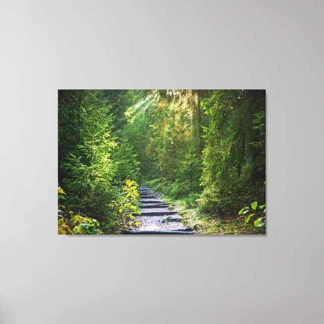 Enchanted Forest Path   Canvas Print (Front)