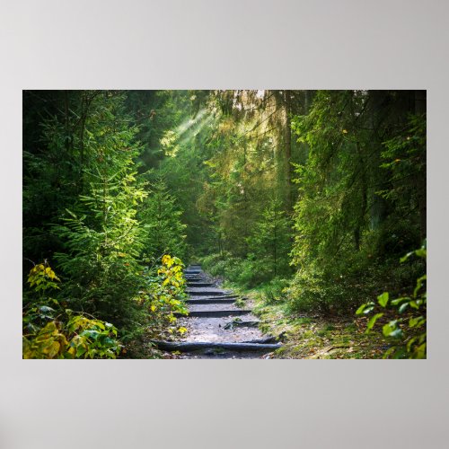Enchanted Forest Path   Poster