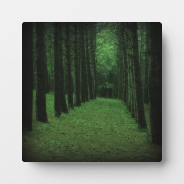 Enchanted Forest Plaque (Front)