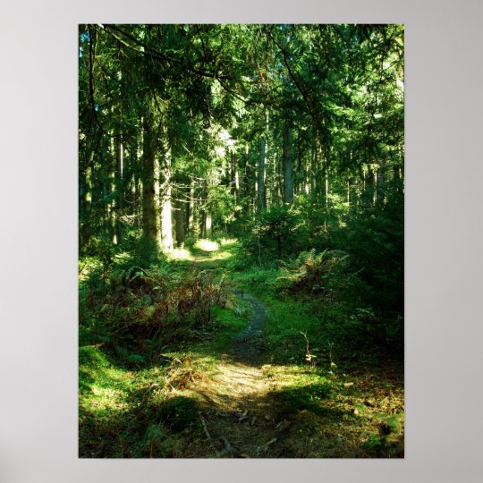 enchanted forest poster | Zazzle.com