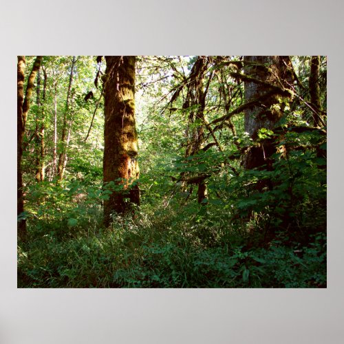 Enchanted Forest Poster Print