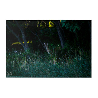 Enchanted forest resident acrylic print