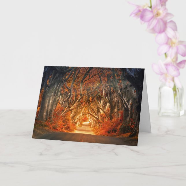Enchanted Forest Road 1 Card (Orchid)