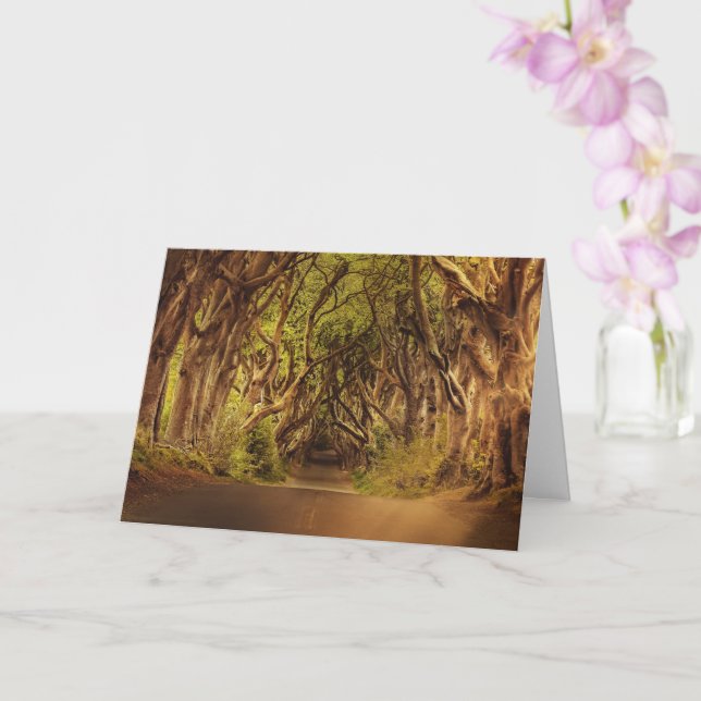 Enchanted Forest Road 4 Card (Orchid)