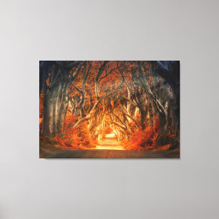 Enchanted Forest Road   Canvas Print