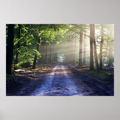 Enchanted Forest Road   Poster