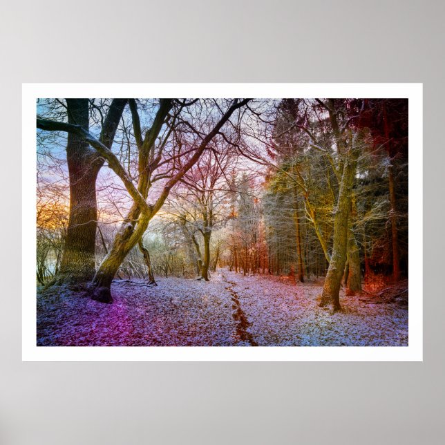 Enchanted Forest Winter Landscape Poster (Front)