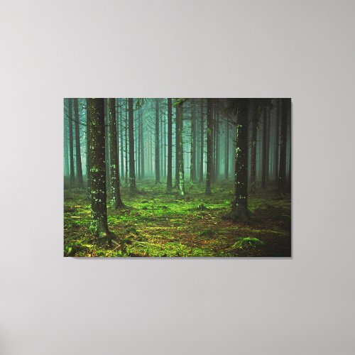 Enchanted Forest Woods  Canvas Print