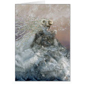 Enchanted Ice Maiden (Front)